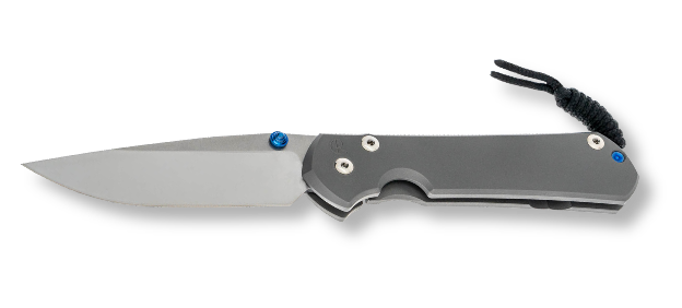 Chris Reeve Knives Large Sebenza 31